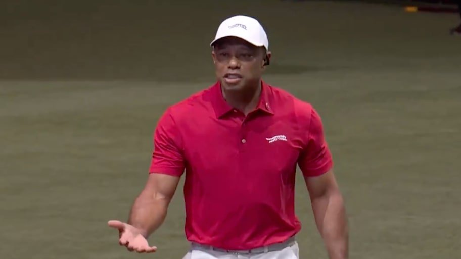 Tiger Woods rich