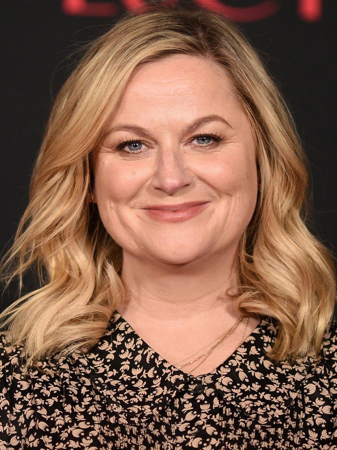 Amy Poehler money