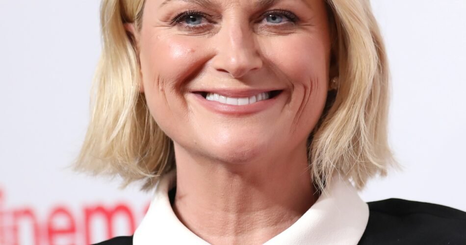 Amy Poehler net worth