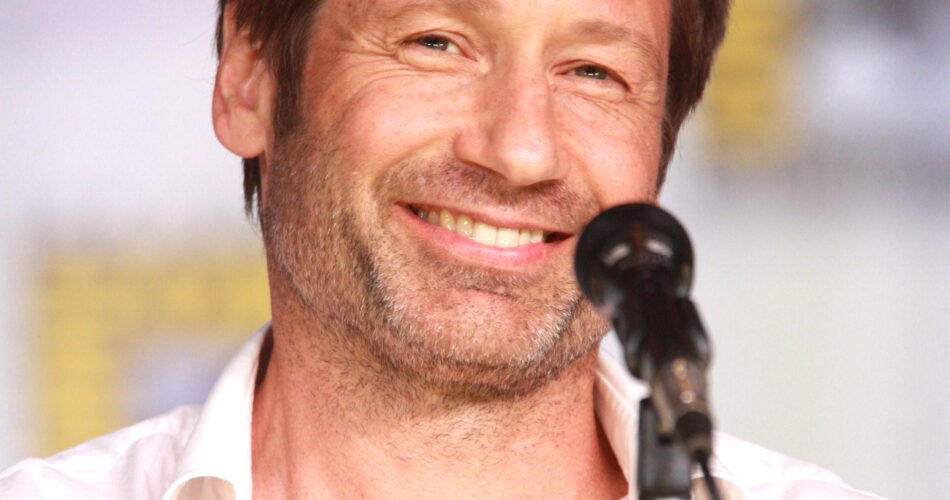 David Duchovny net worth