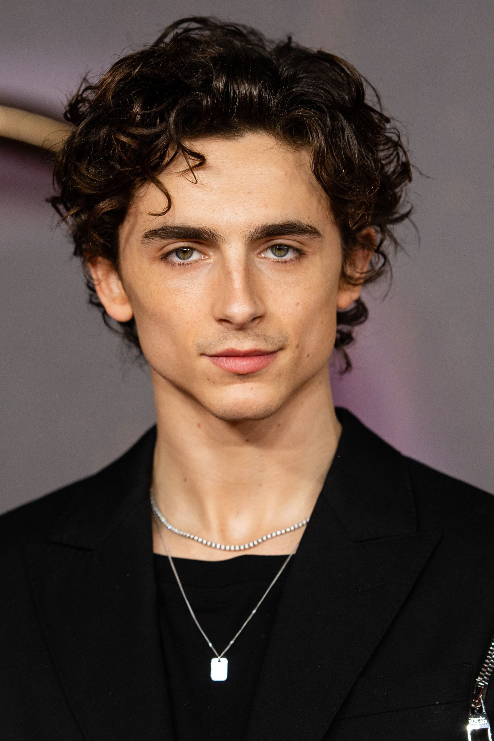 Timothée Chalamet rich