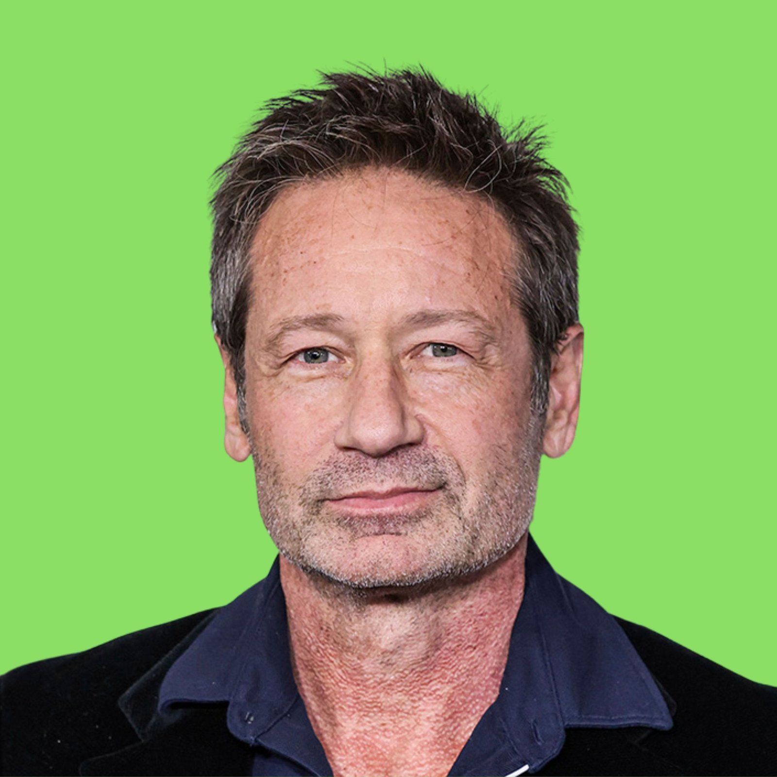 David Duchovny rich