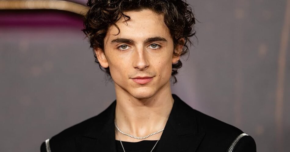 Timothée Chalamet net worth