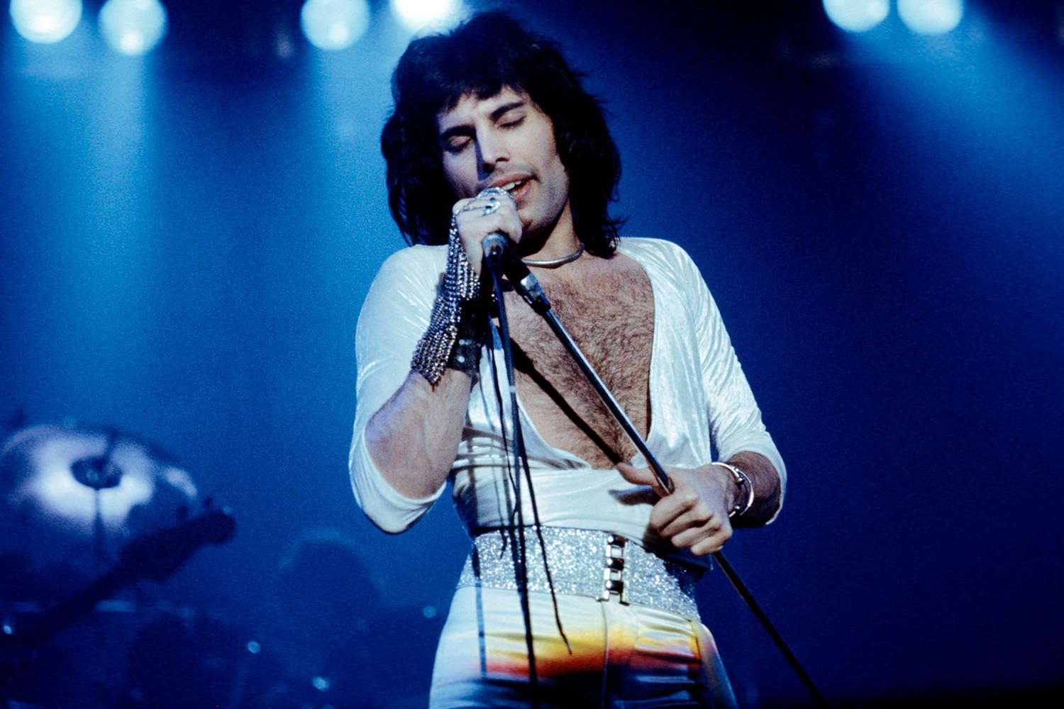 Freddie Mercury rich